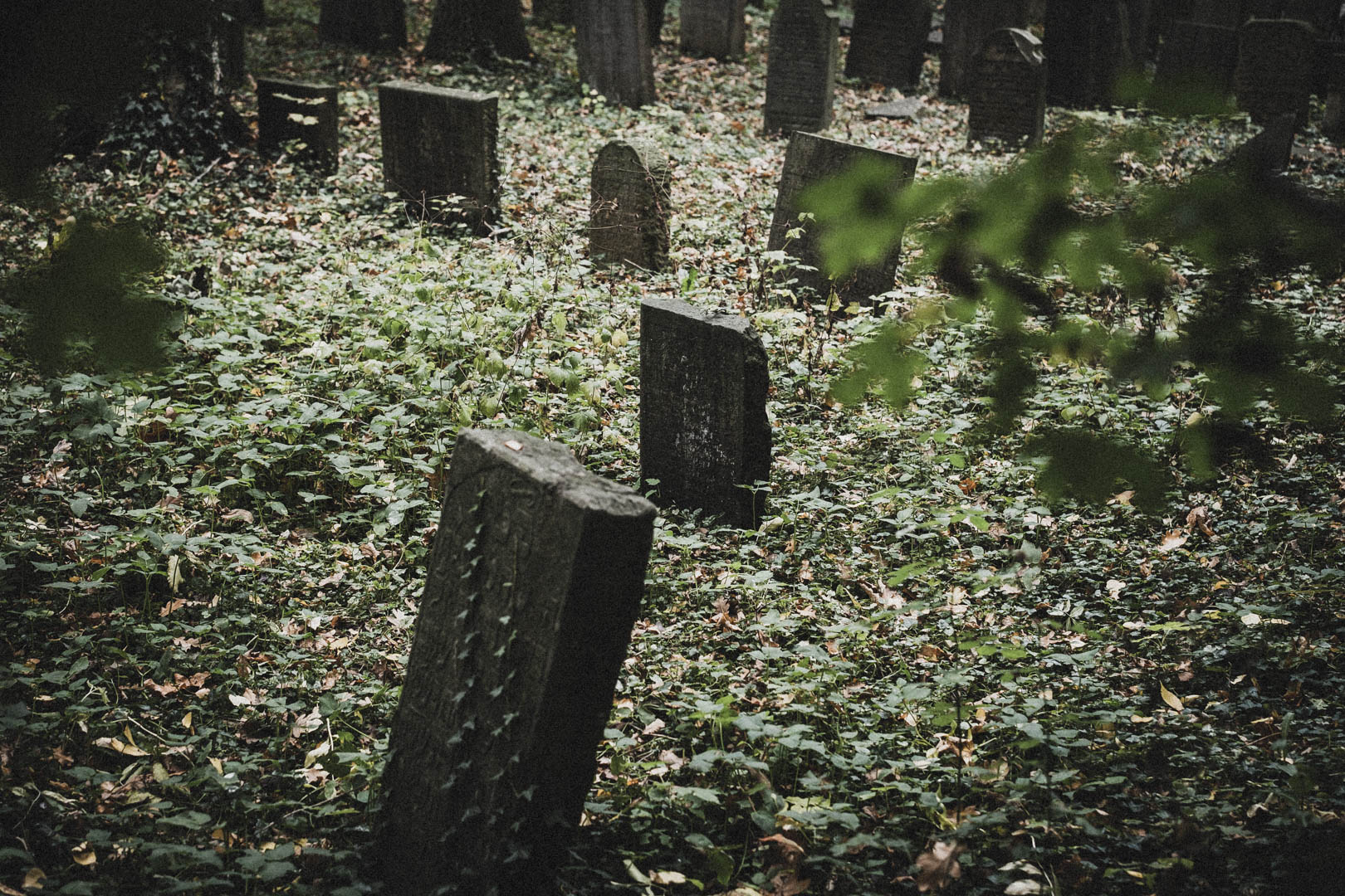Emden, Jüdischer Friedhof